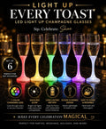 Single champagne glass